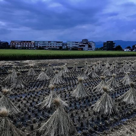 Early Summer Luodong Luaran gambar