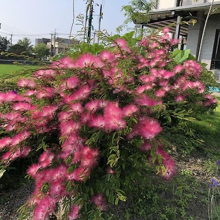 Early Summer Luodong Luaran gambar